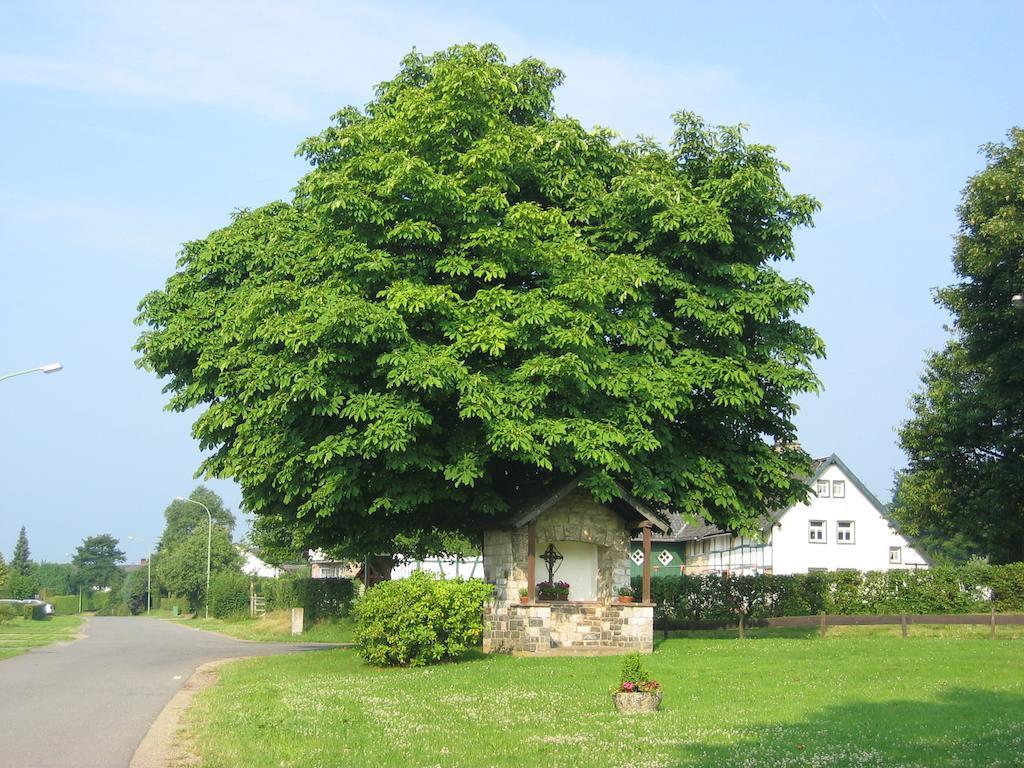 Ferienwohnung Roeben Simmerath Esterno foto